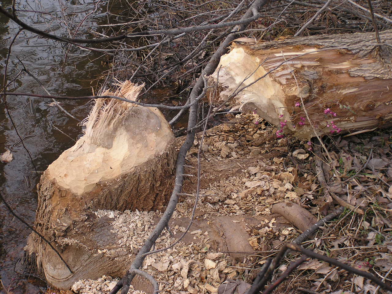 PC271425.JPG