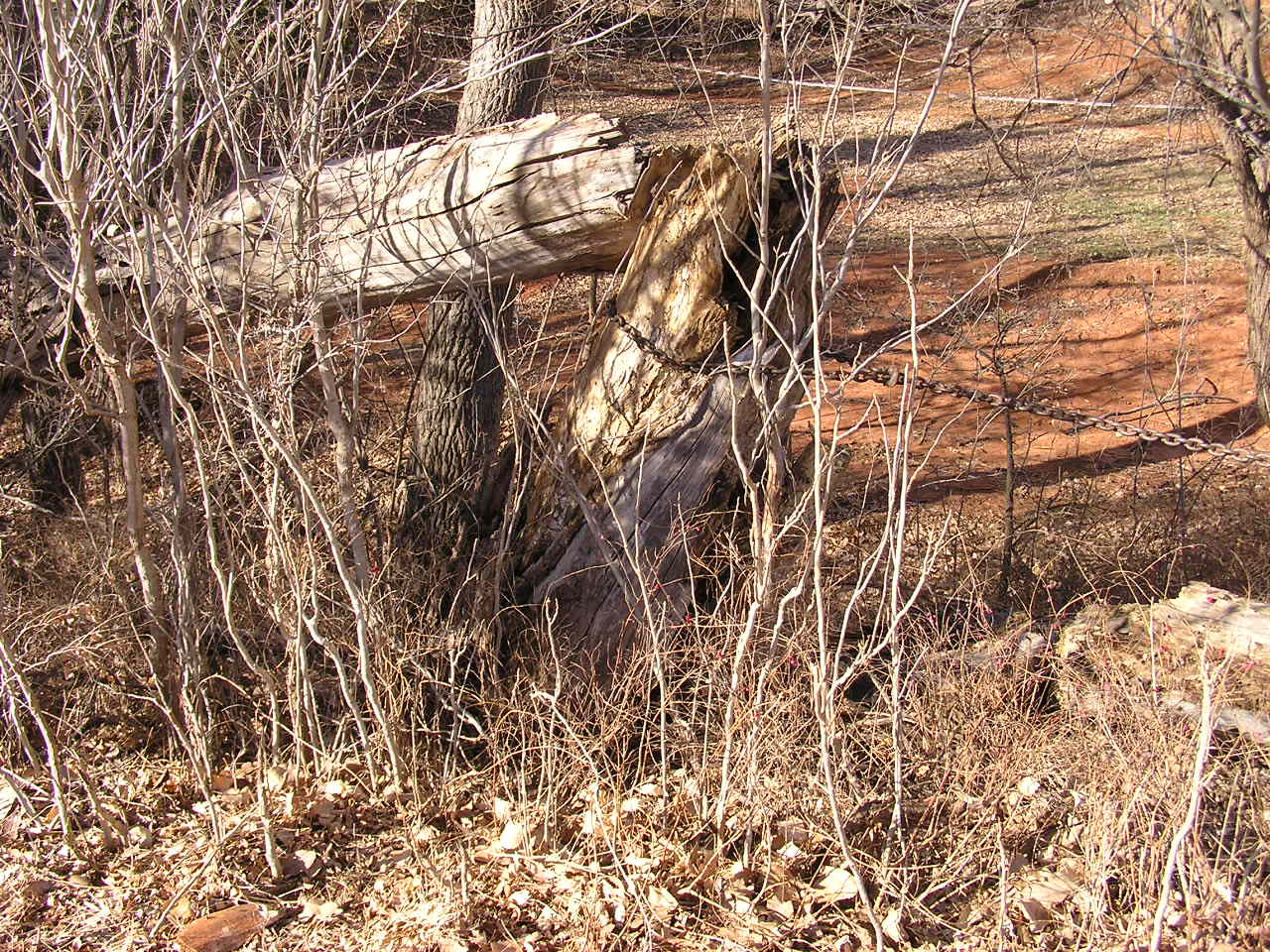 PC312024.JPG