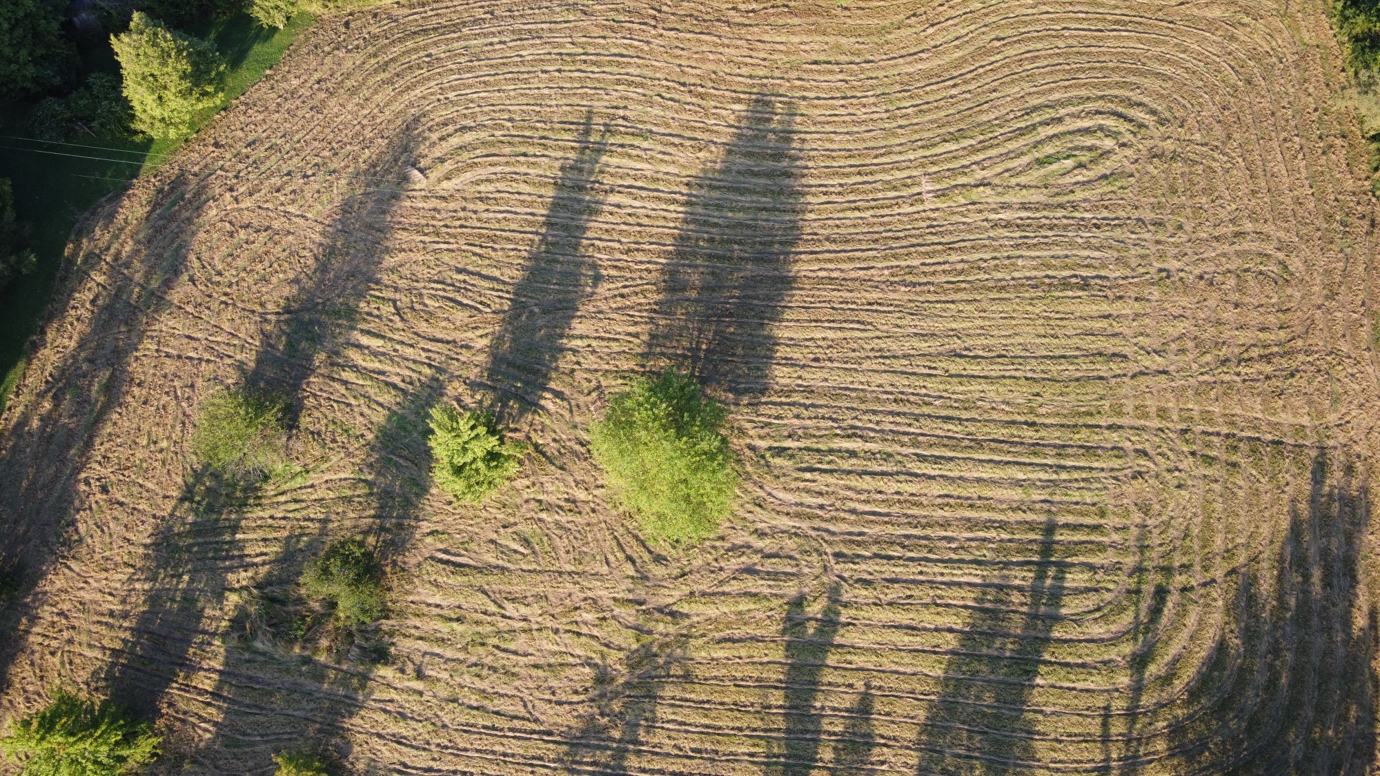 Photo_6553918_DJI_318_jpg_4104590_0_202286191846_photo_original.jpg