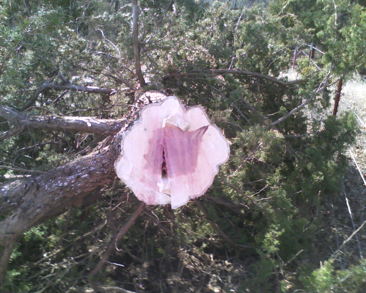 Pic0215013.jpg