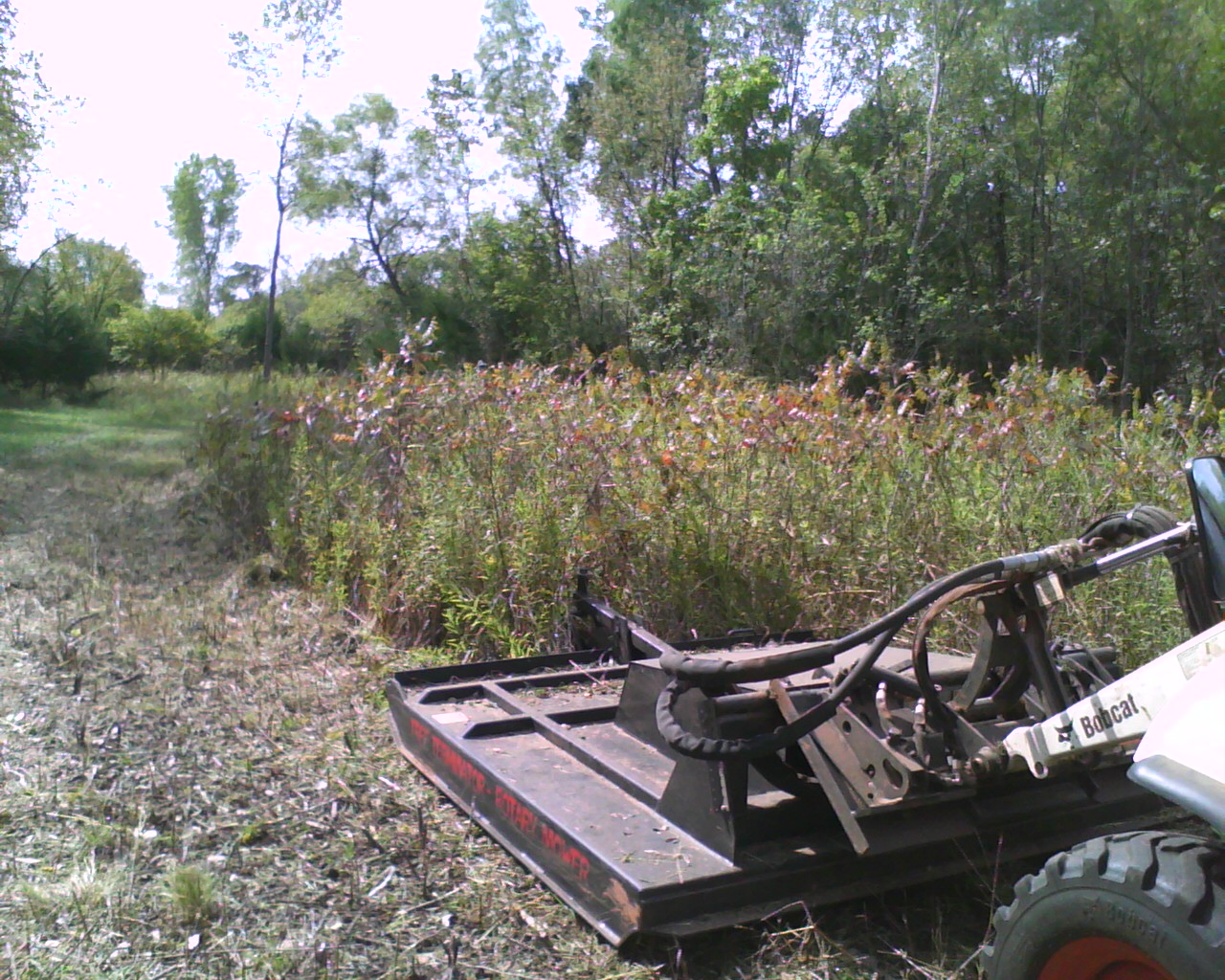 Pic1003007.jpg