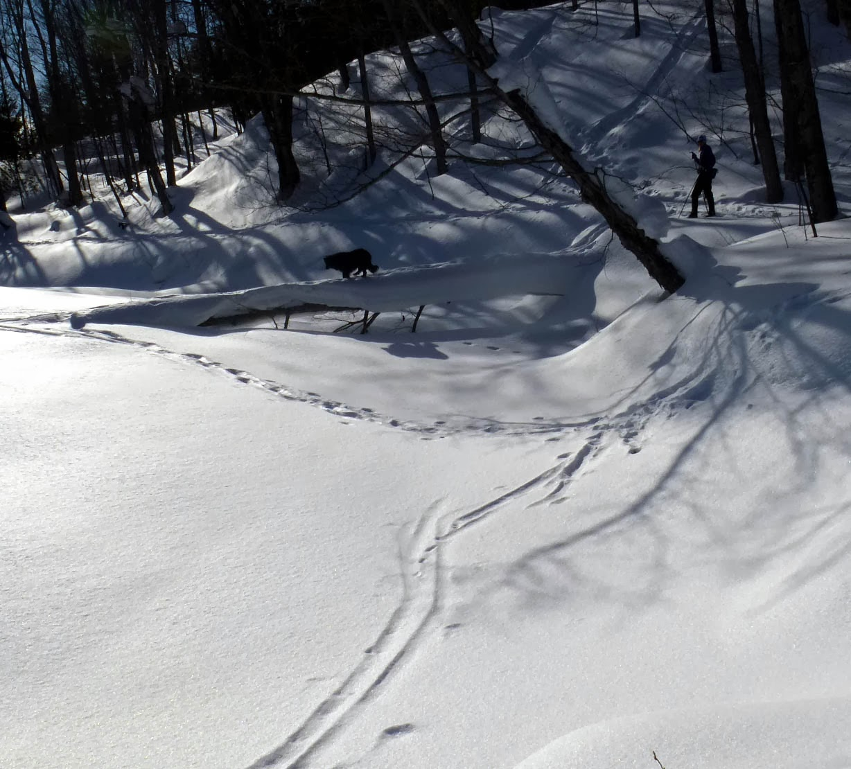 Pilgrim River ski this winter.jpg