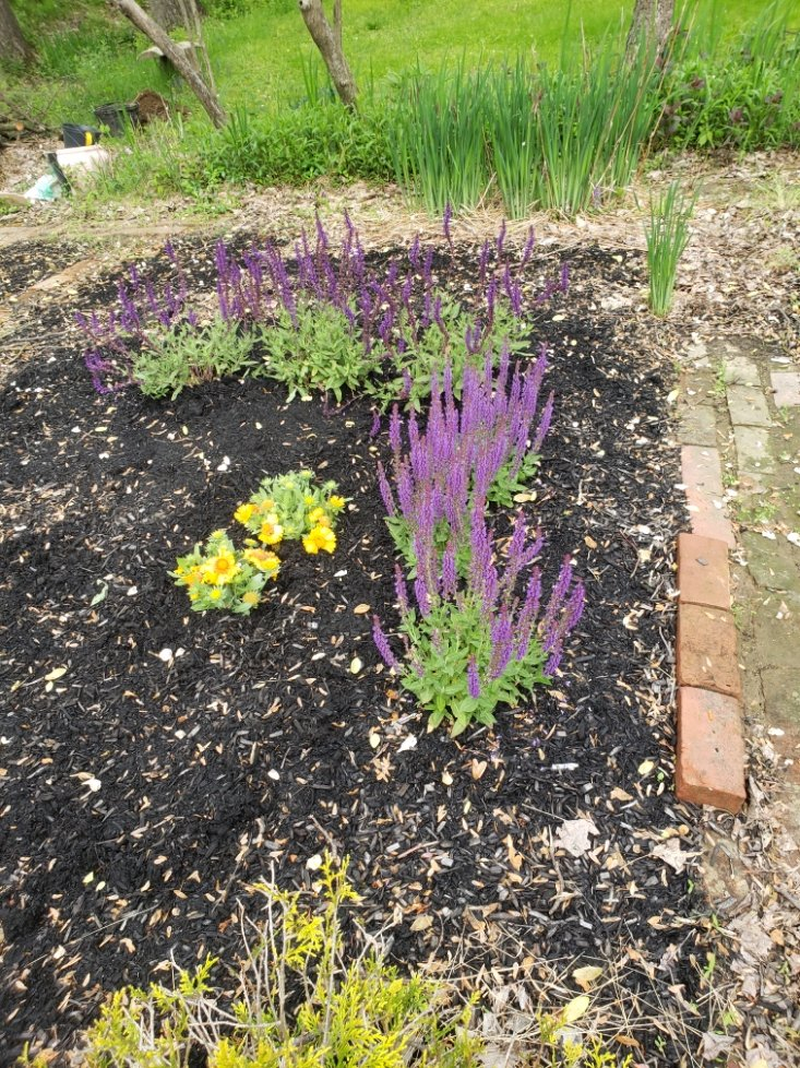 plant21_2_20210510_114349.jpg