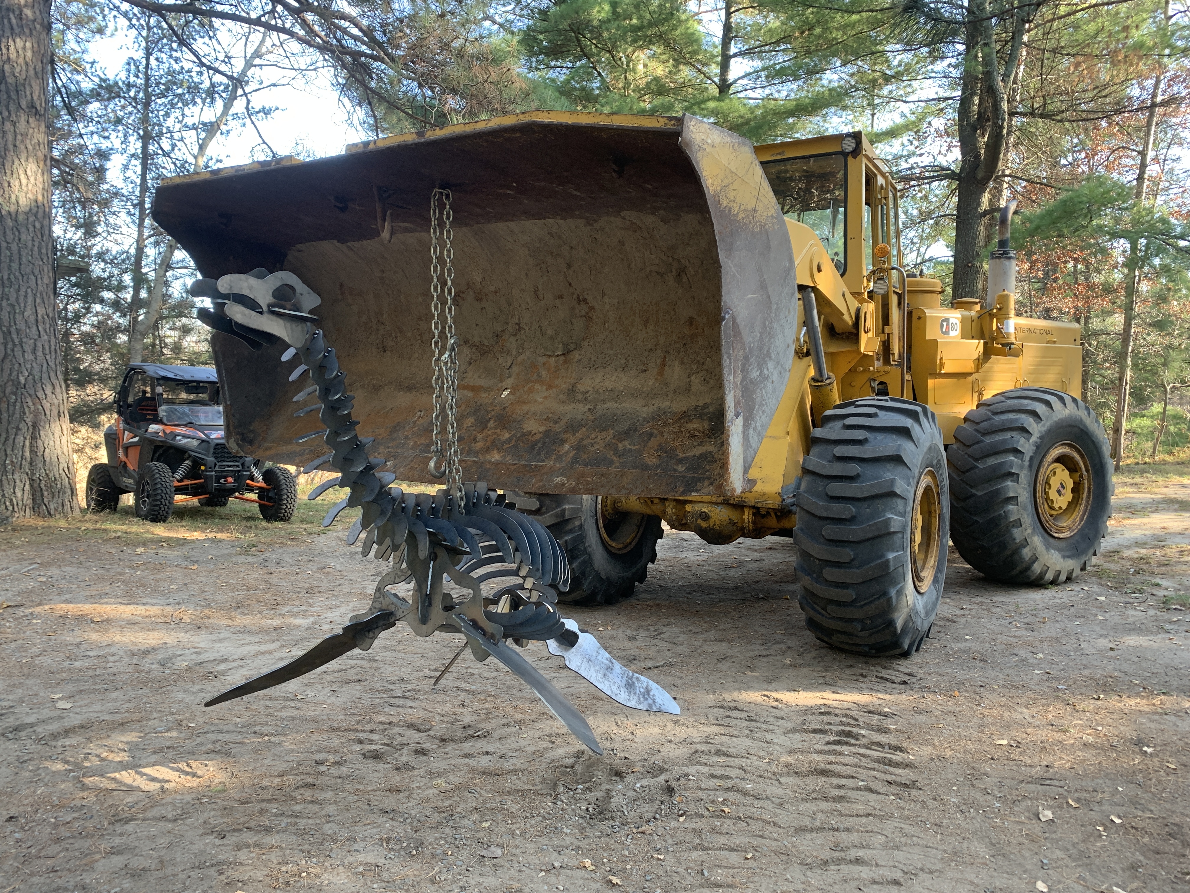 Pleosaur and Hough H80B.JPG