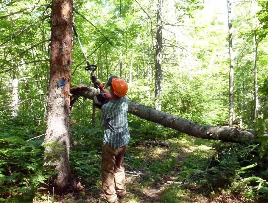 polesaw048.jpg
