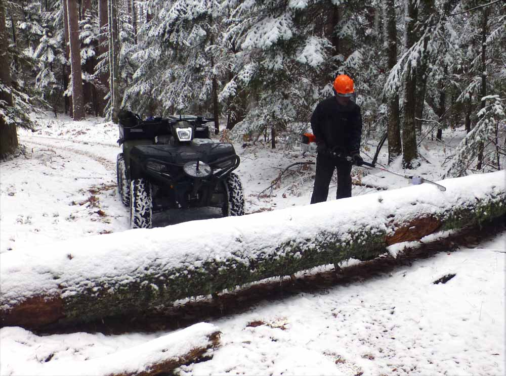 polesaw059.jpg