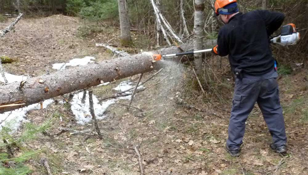 polesaw064.jpg