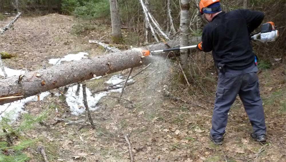 polesaw064.jpg