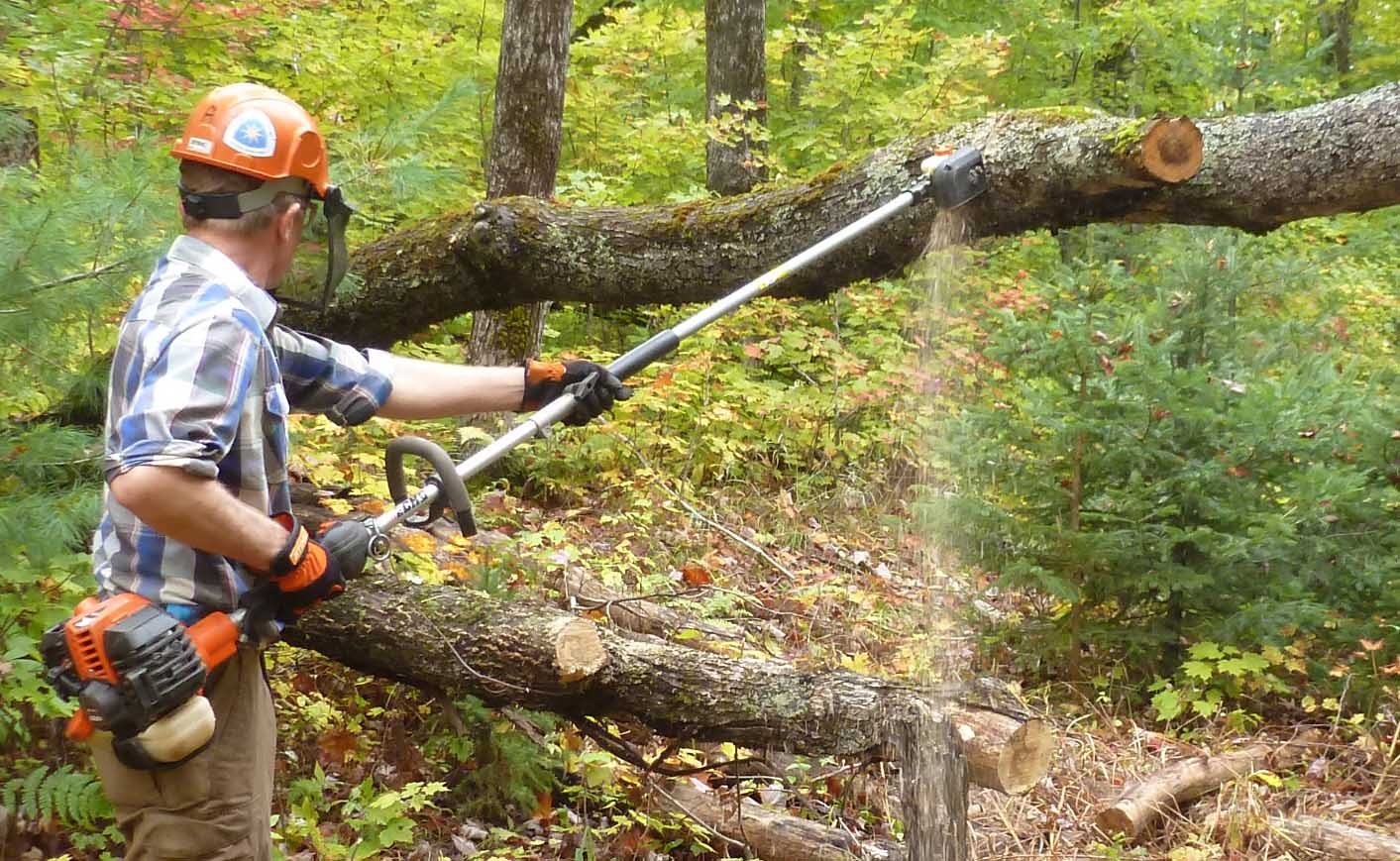 Polesaw0933.jpg