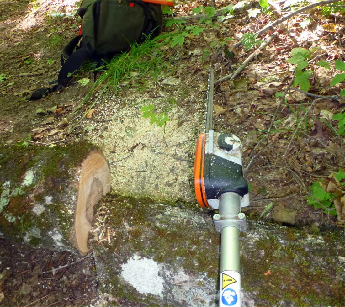 polesaw155.jpg