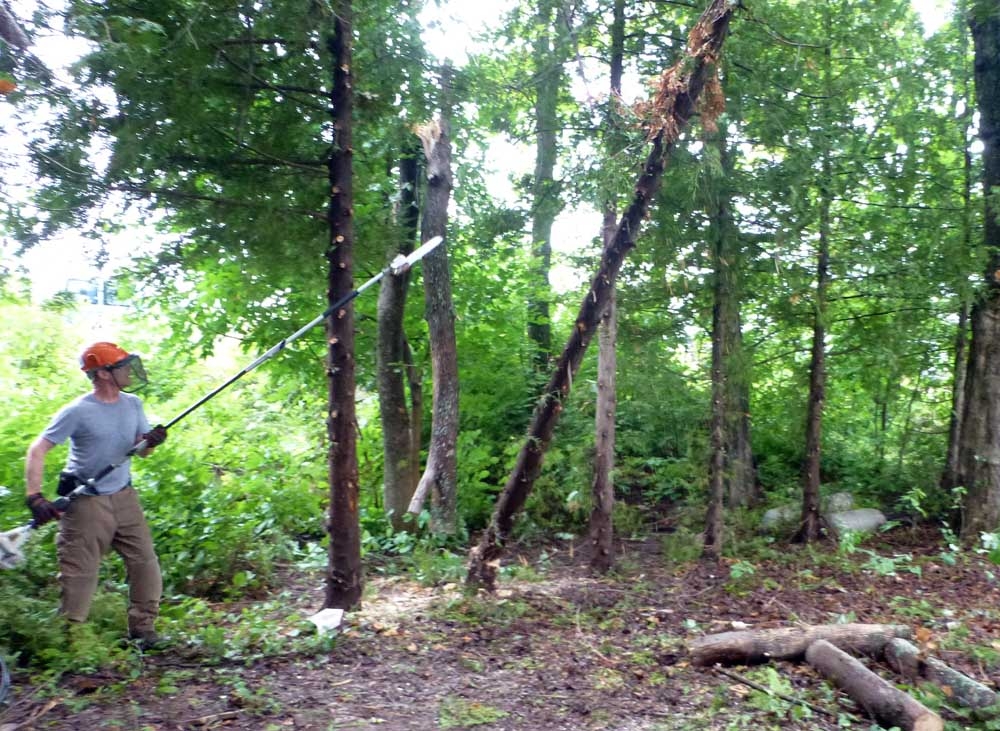 POLESAW60007.jpg