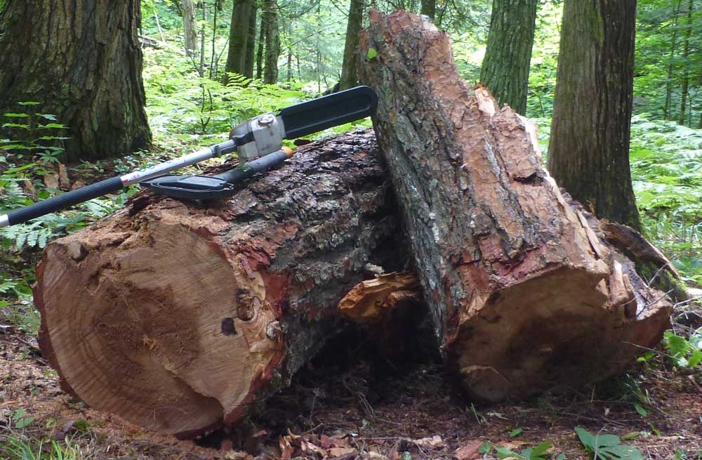 polesaw844.jpg