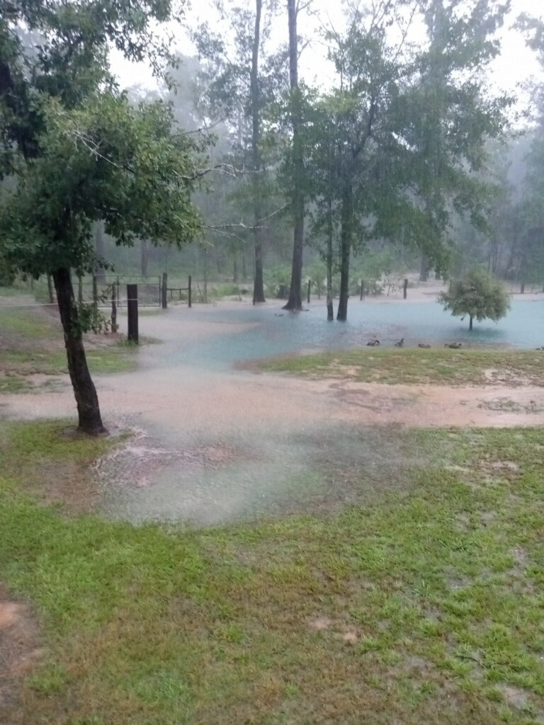 Pond full September1, 2022.jpg