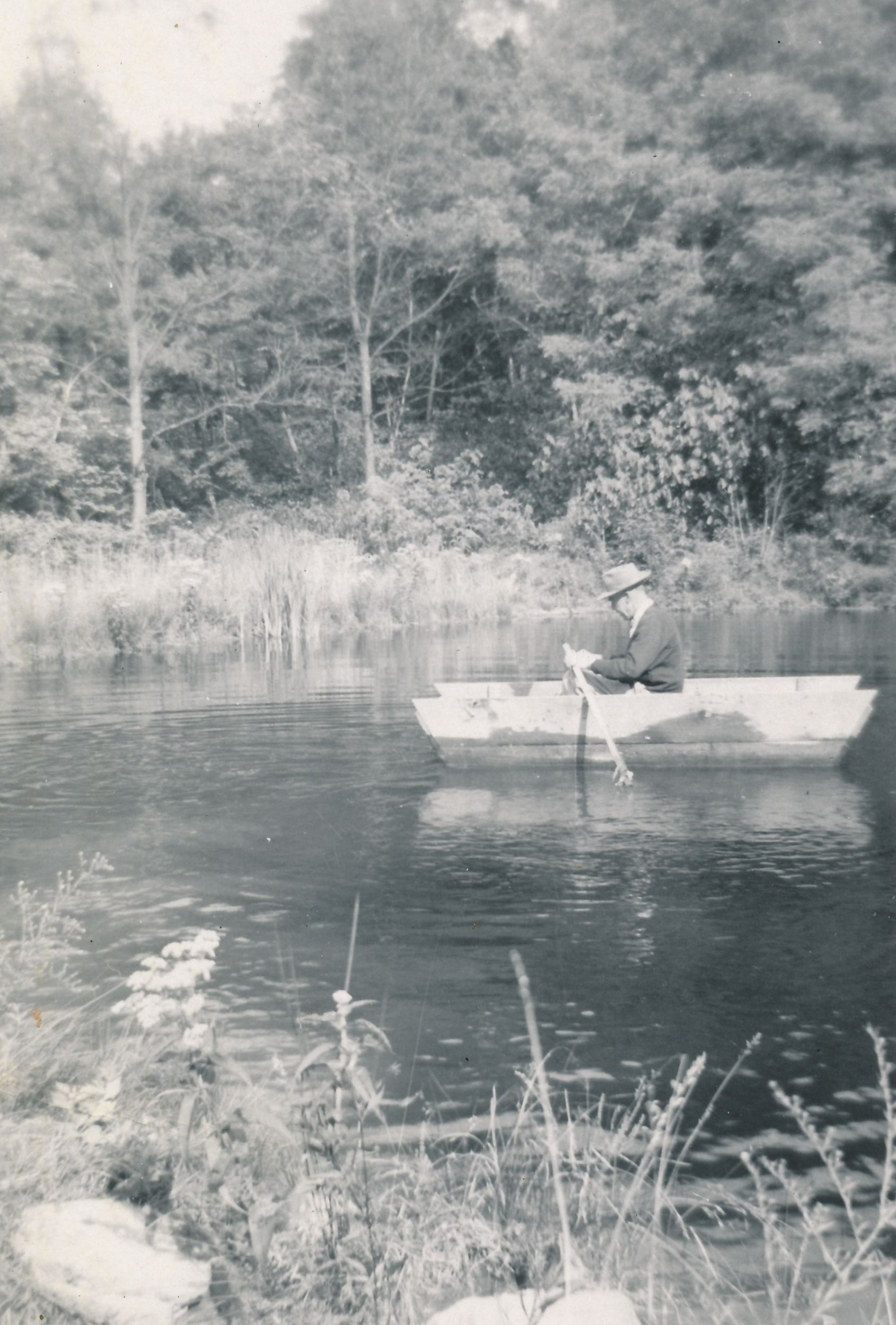 pond.jpg