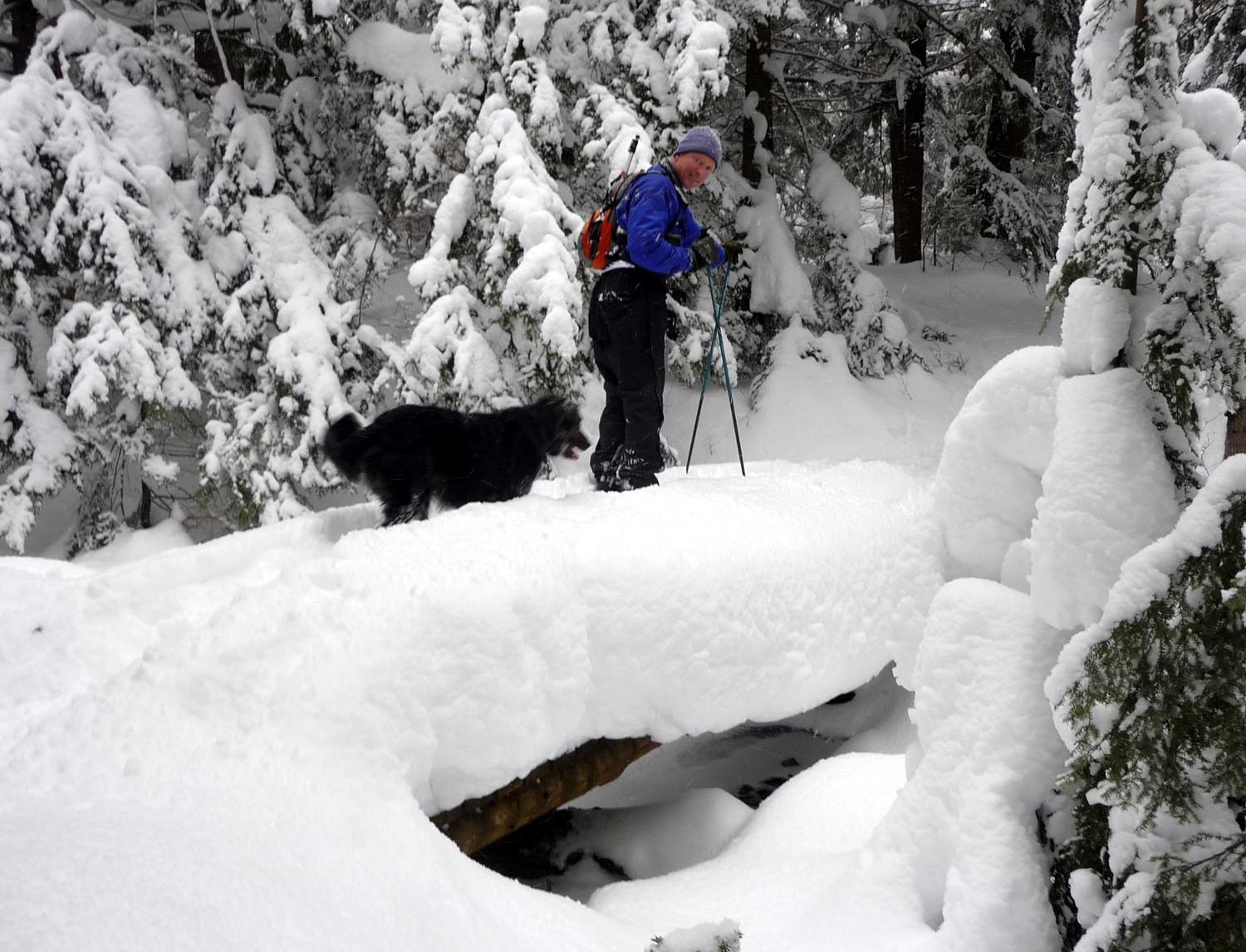 Porkies BC ski bridge dec (DL).jpg