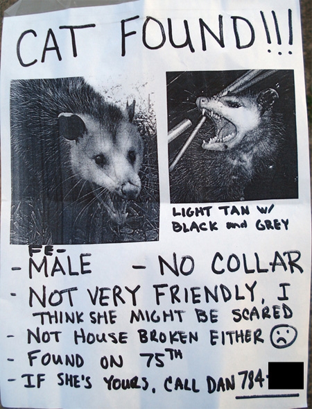 possum_poster.jpg