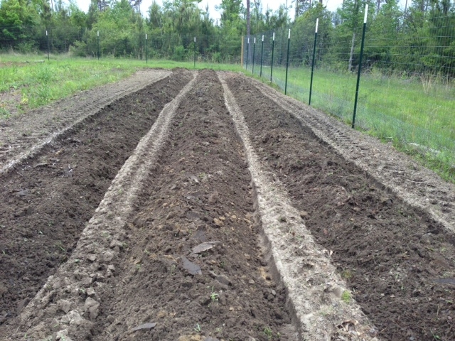 potato-hiller-after.JPG