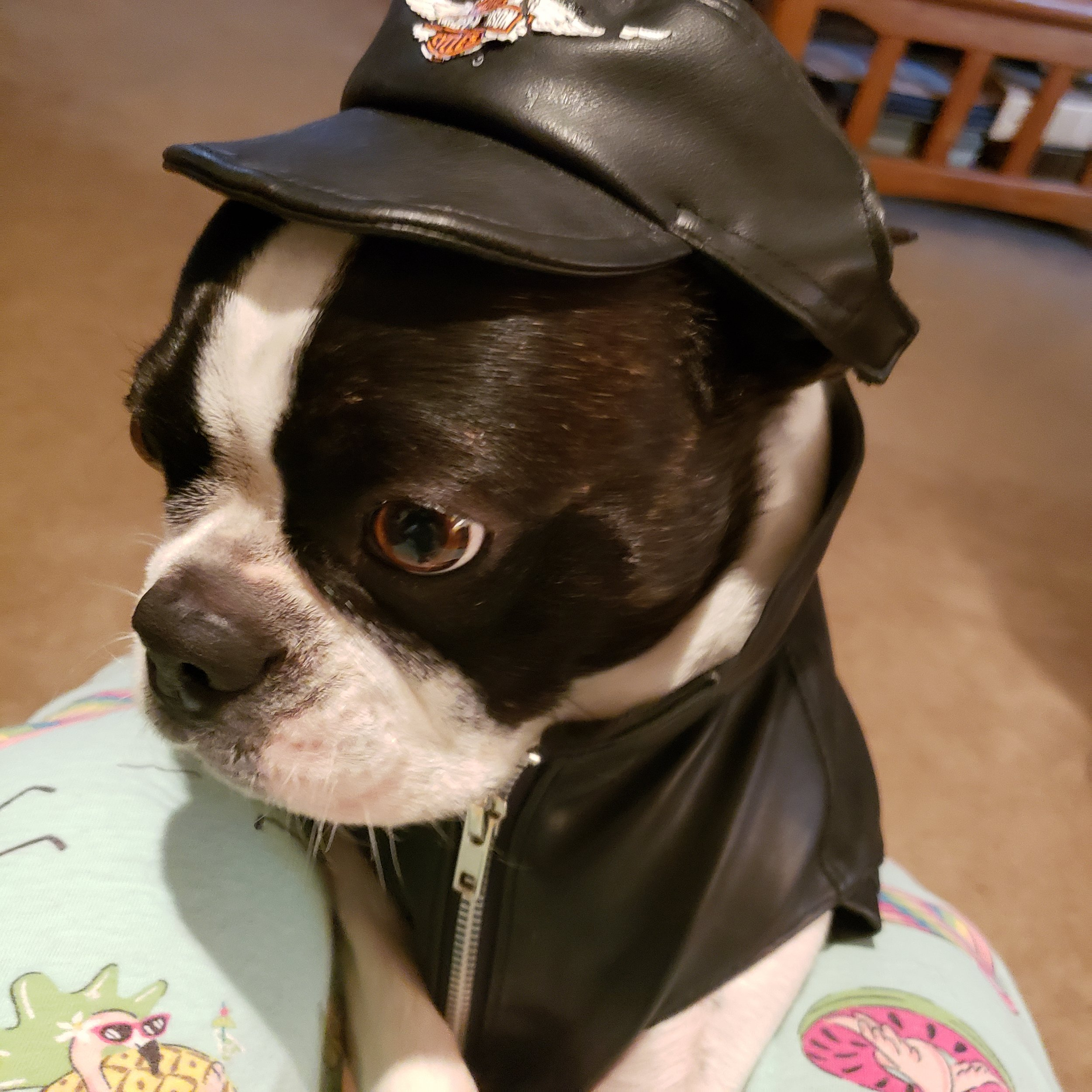 Presley...Hat.jpg