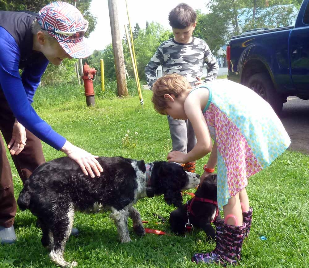 pupdaisy0942.jpg