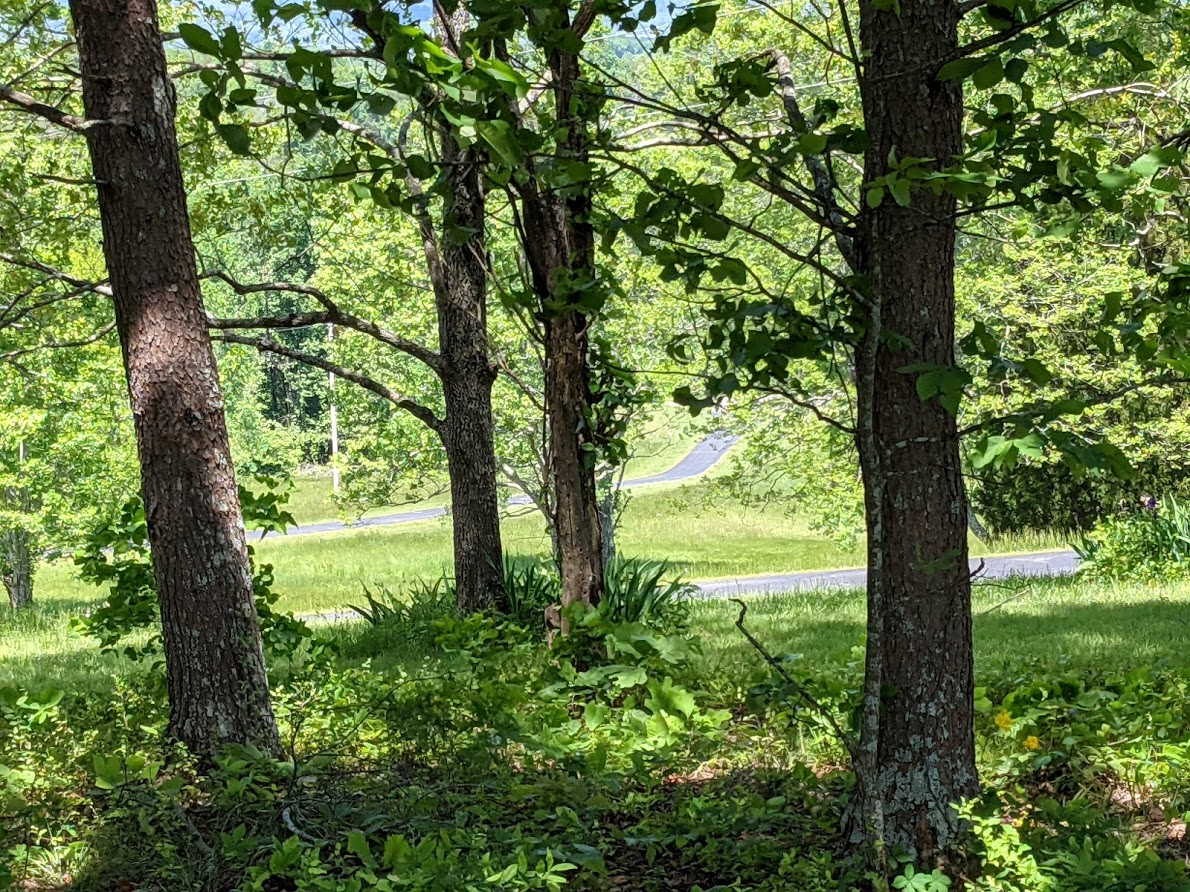 PXL_20210507_165836100.jpg