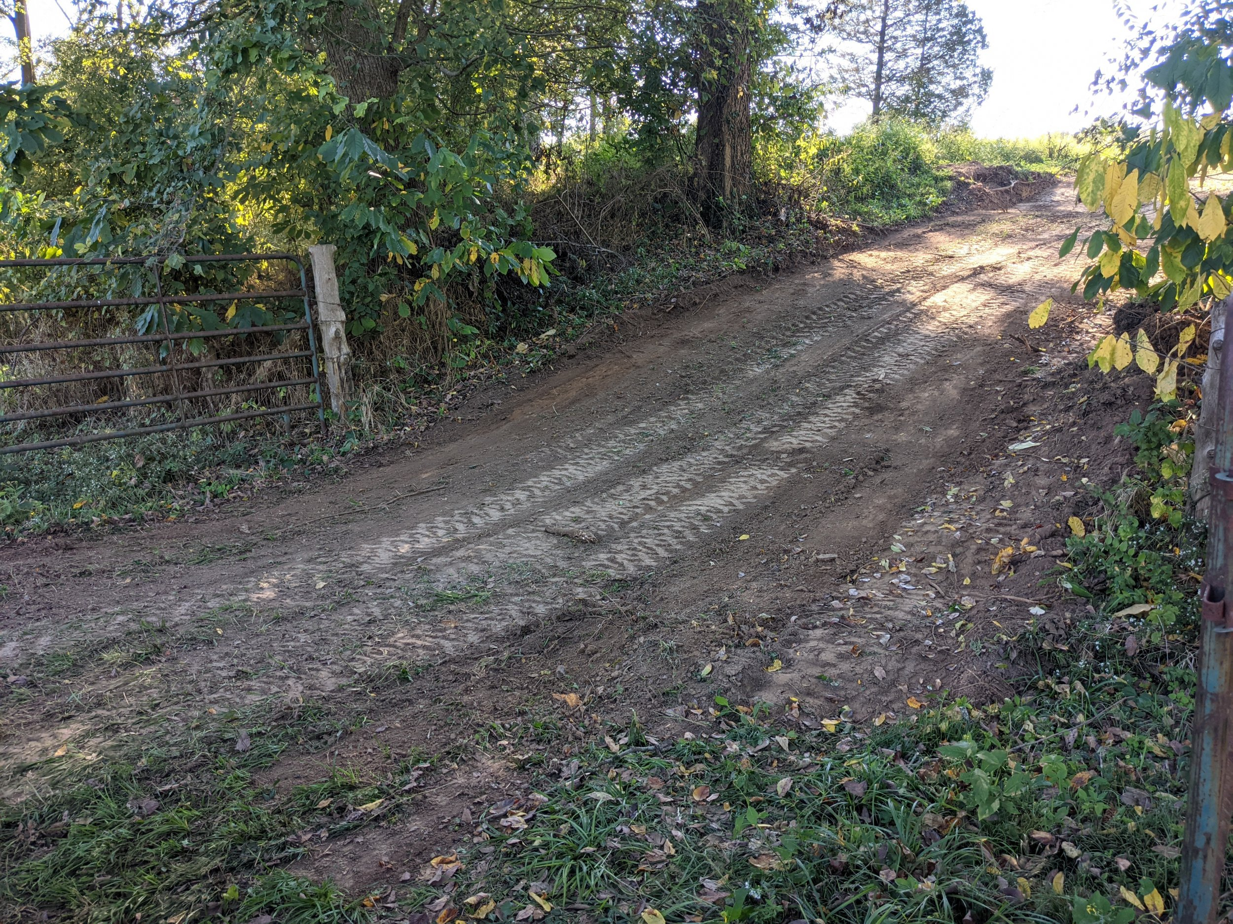 PXL_20211010_203033136.jpg