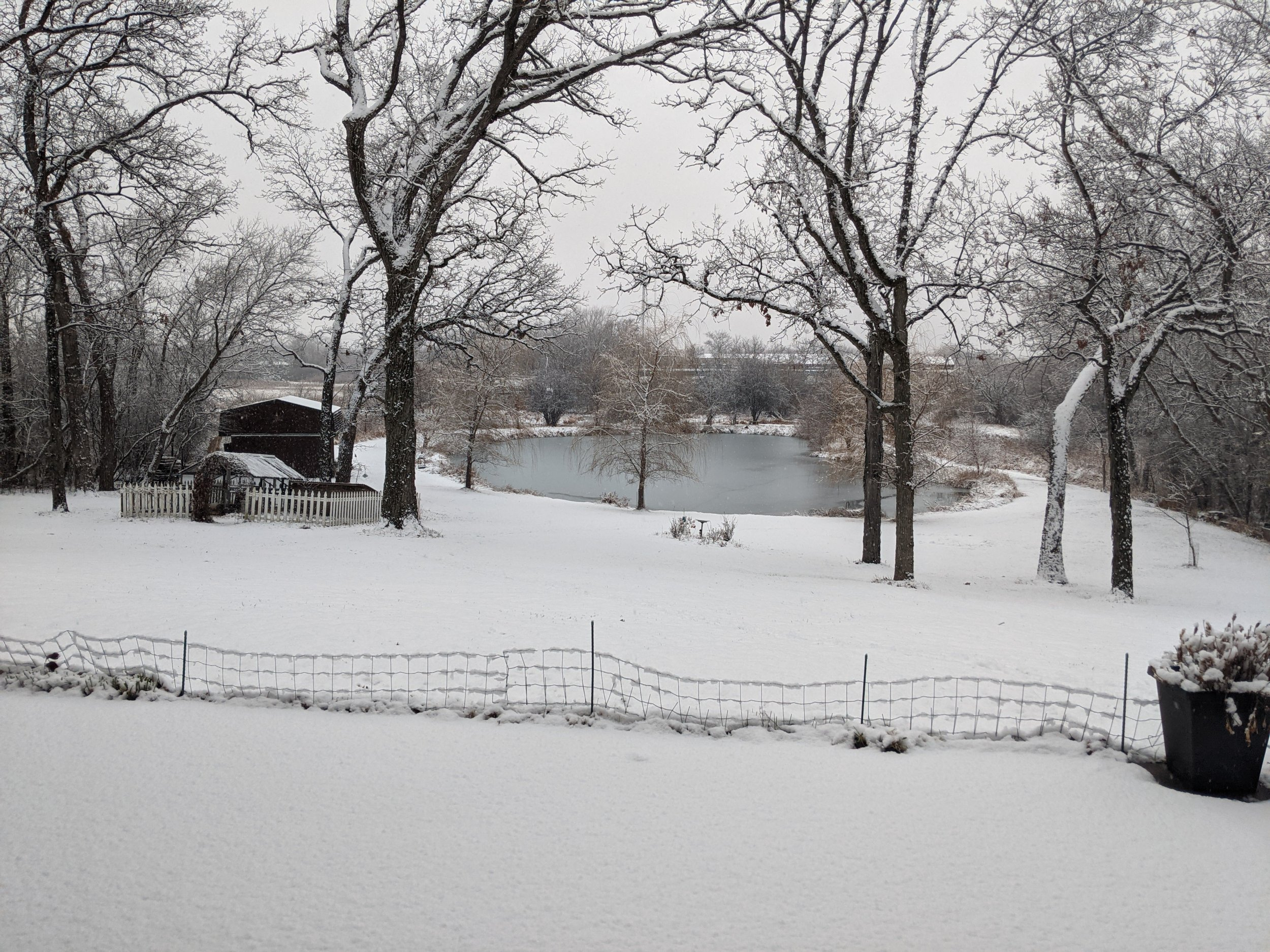 PXL_20211228_215215648.jpg