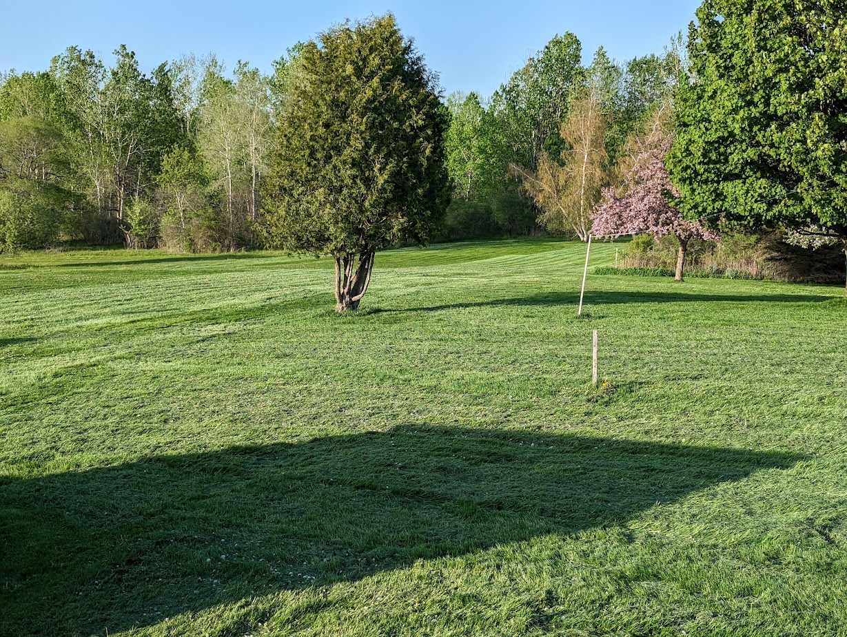 PXL_20230513_224925420.jpg