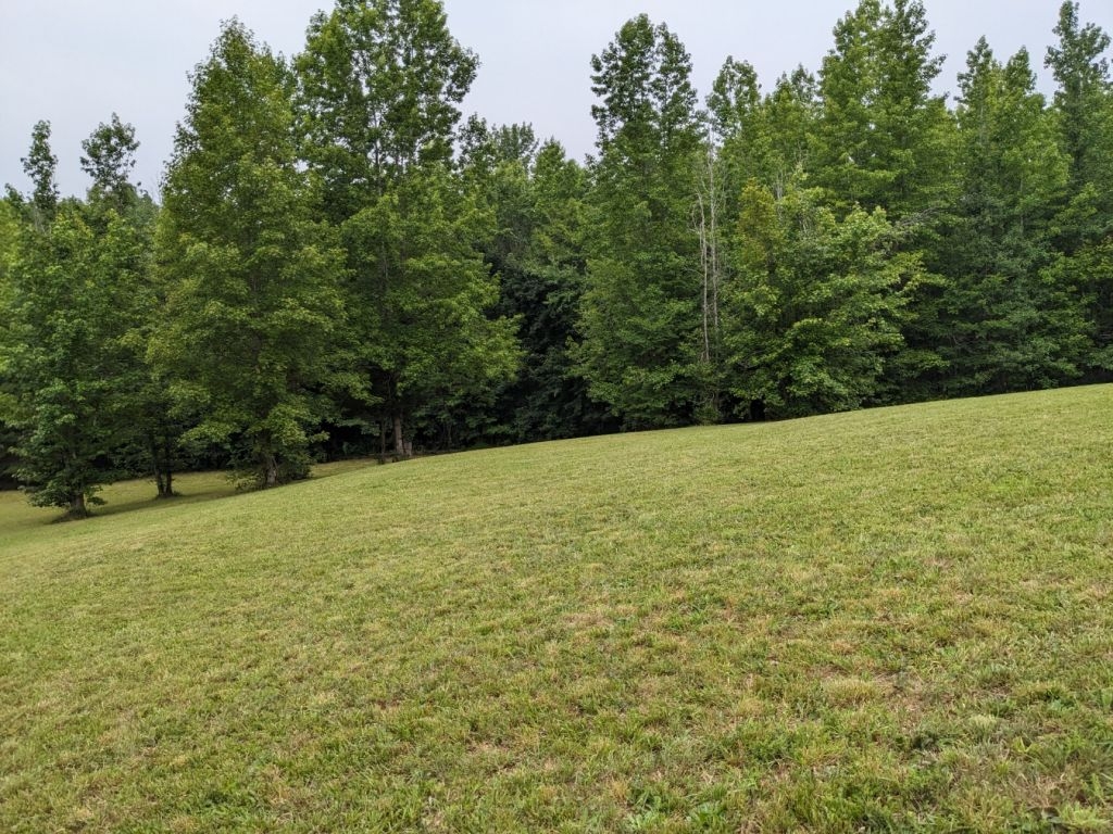 PXL_20230630_151041517b.jpg