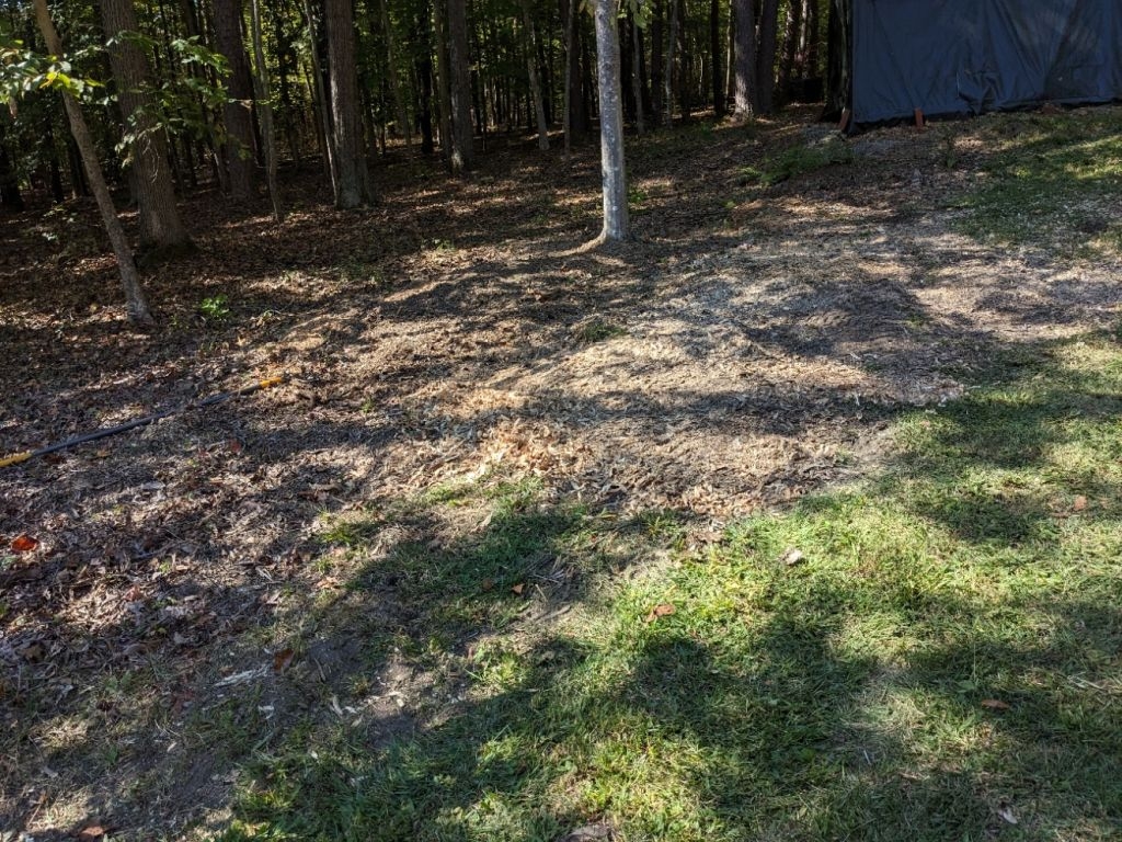 PXL_20231013_163344670.jpg