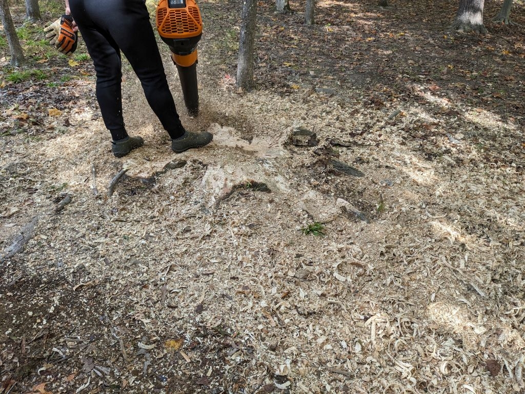 PXL_20231016_154658103B.jpg