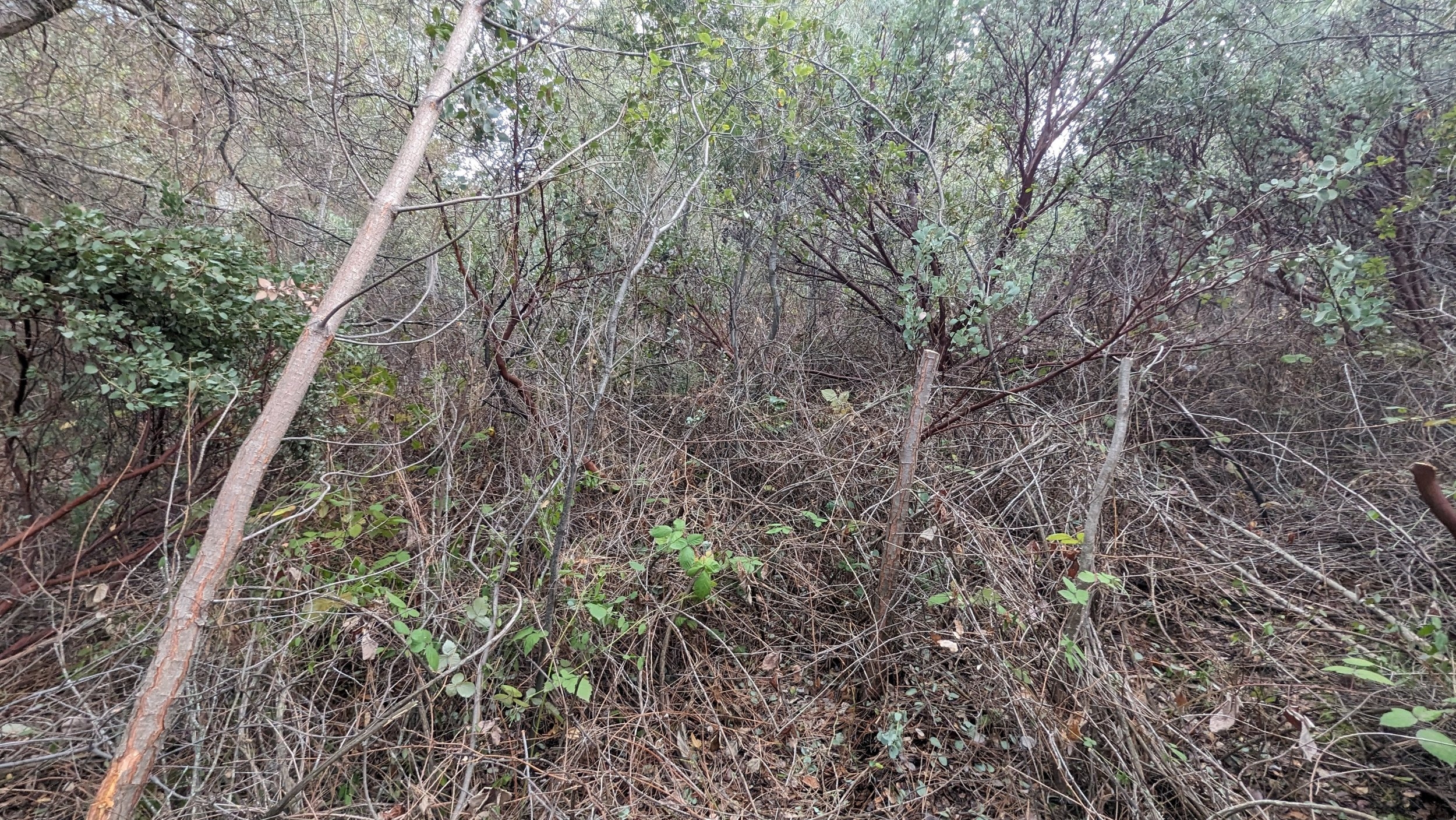 PXL_20240119_232139109.jpg