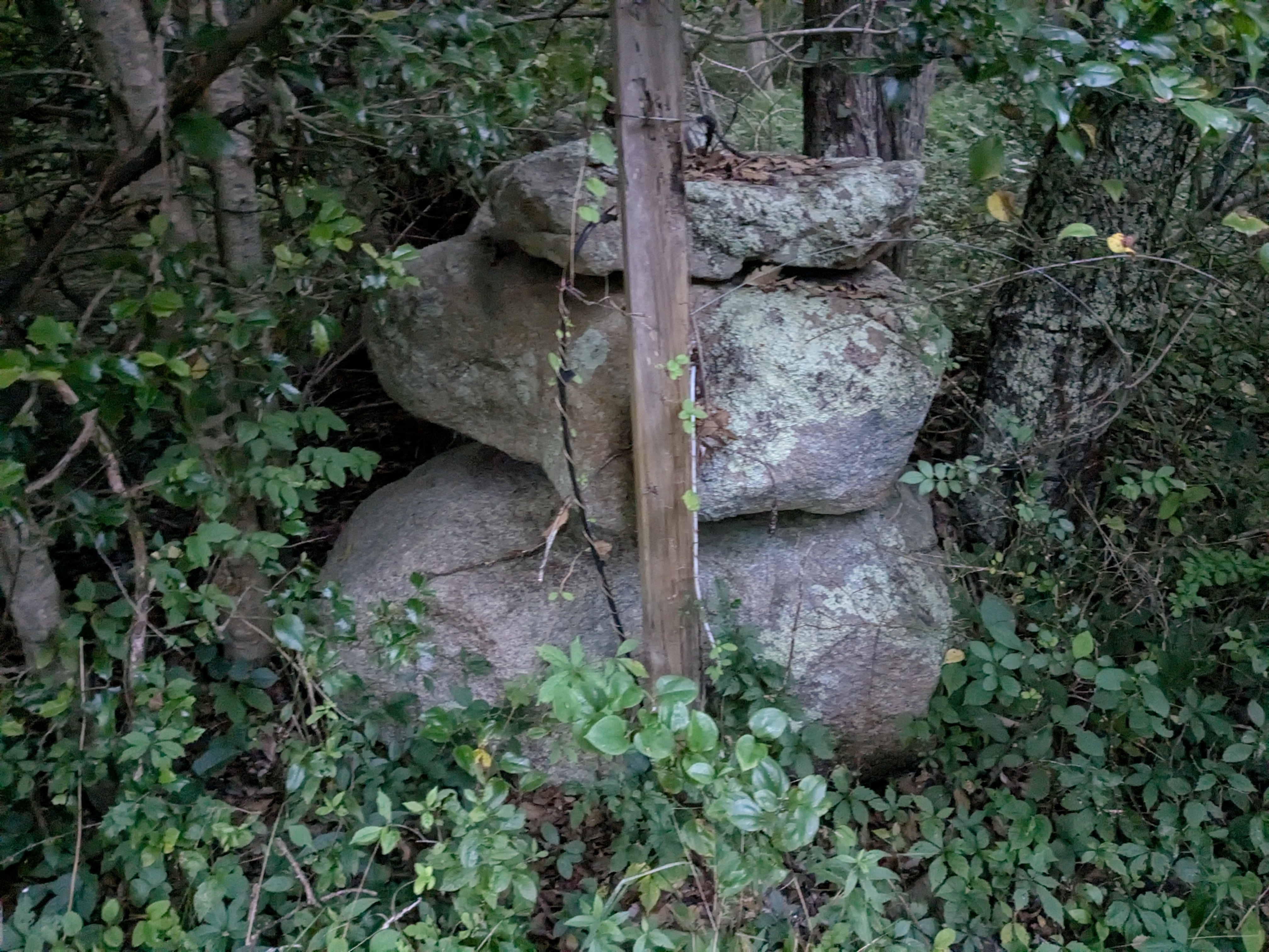 PXL_20250722_001815017.MP.jpg