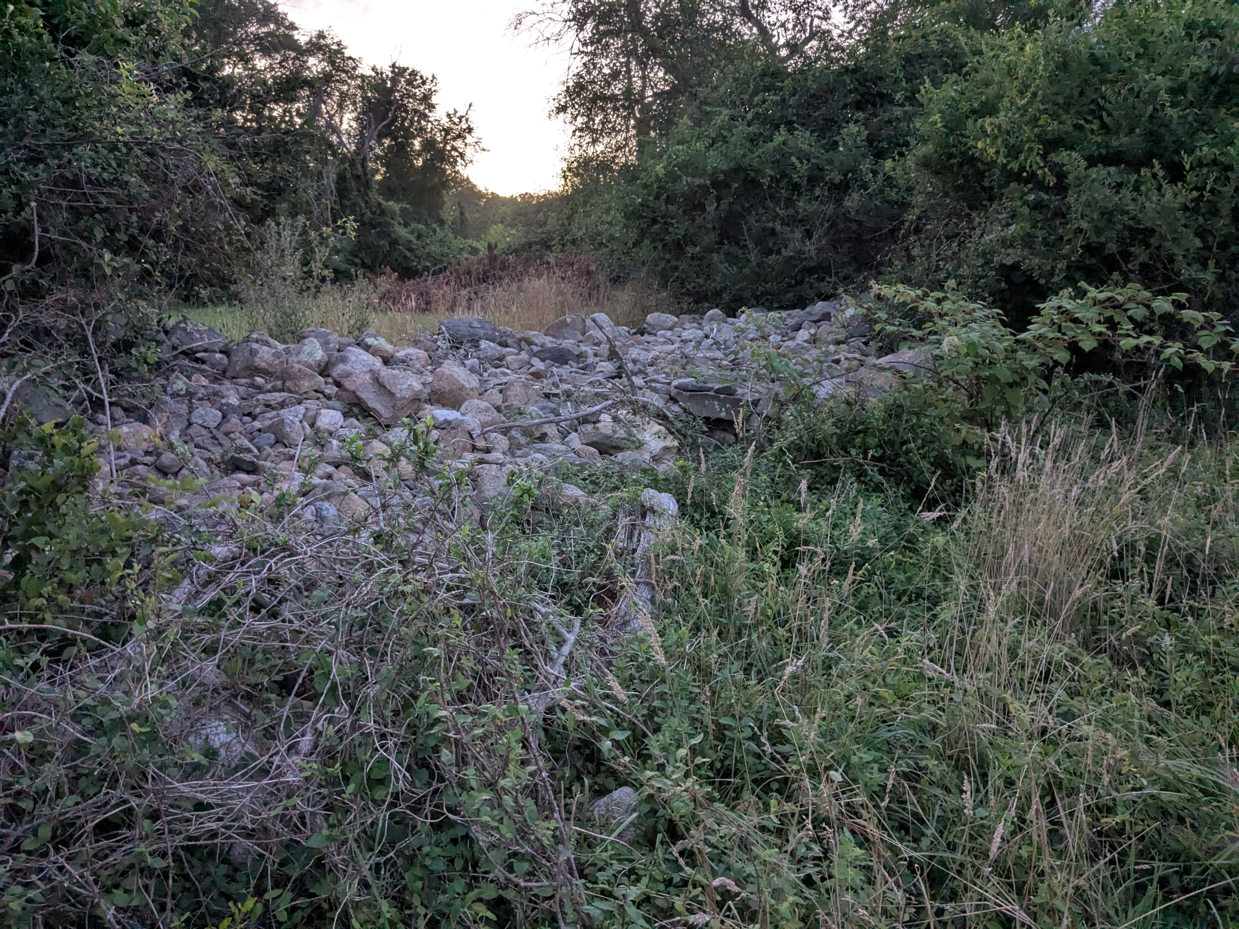 PXL_20250722_002655850.jpg