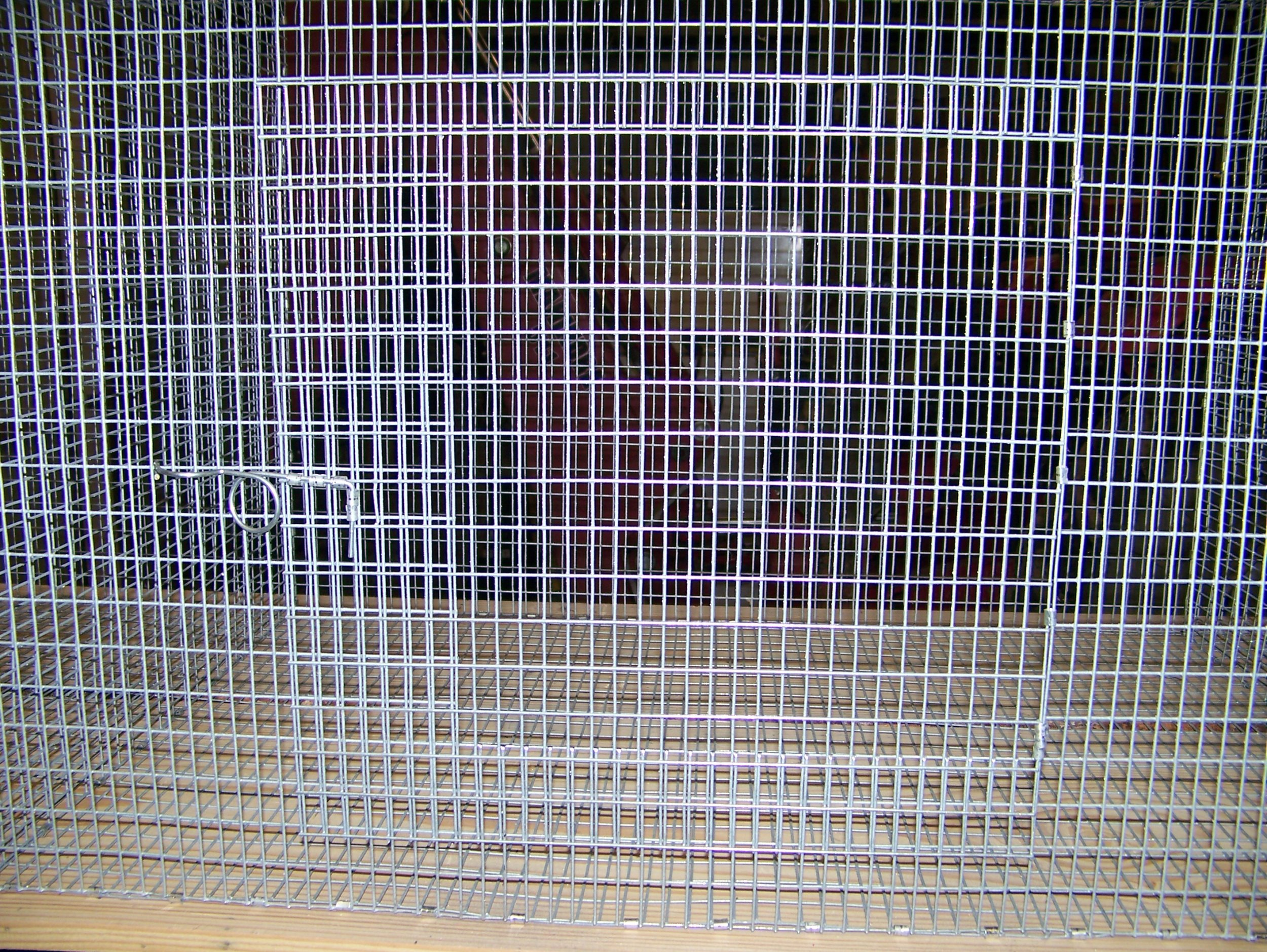 Rabbit 9 Foot Cage Door Detail.jpg