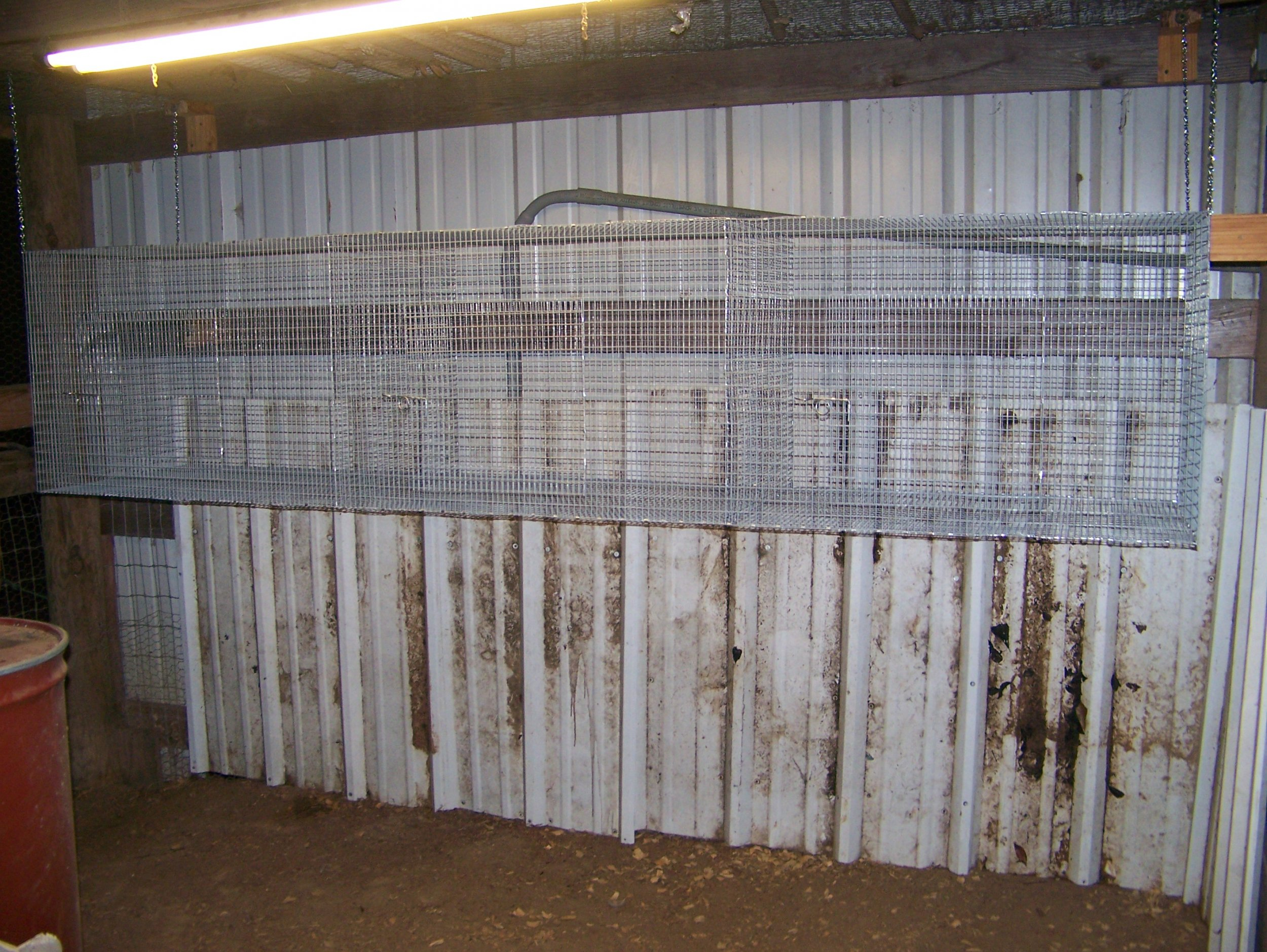 Rabbit 9 Foot Cage Ready For Rabbits.jpg