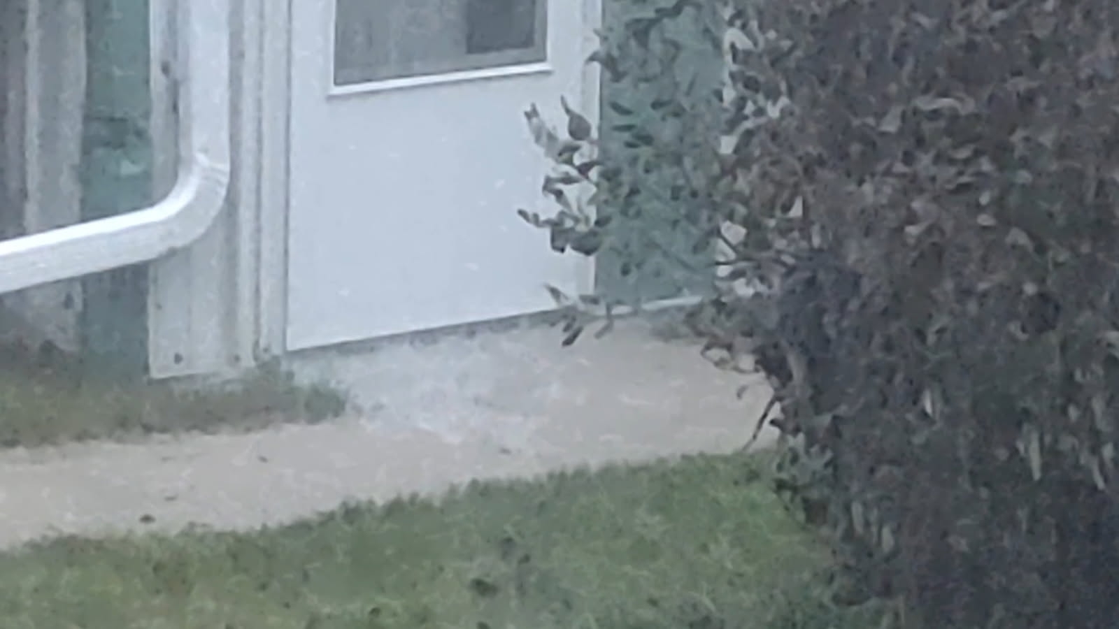 rain.jpg