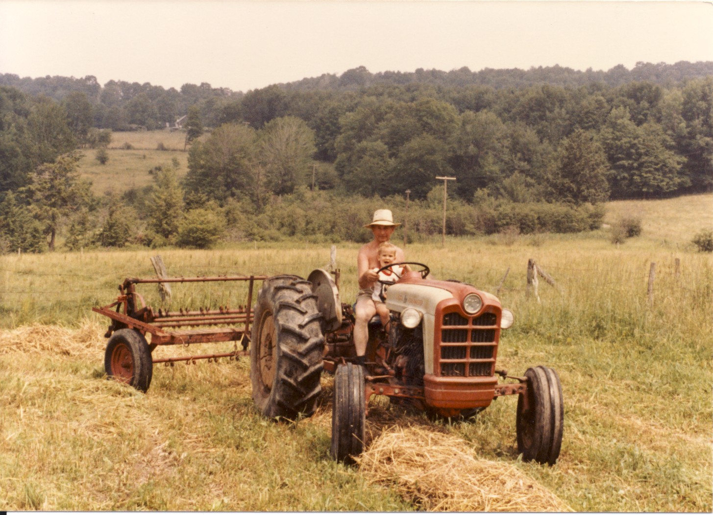 Raking Hay Father,Michael.jpg