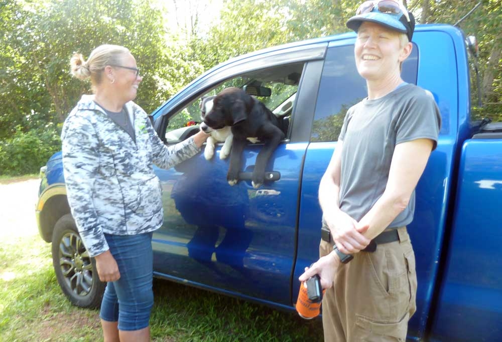 rangerangiwdogs02.jpg