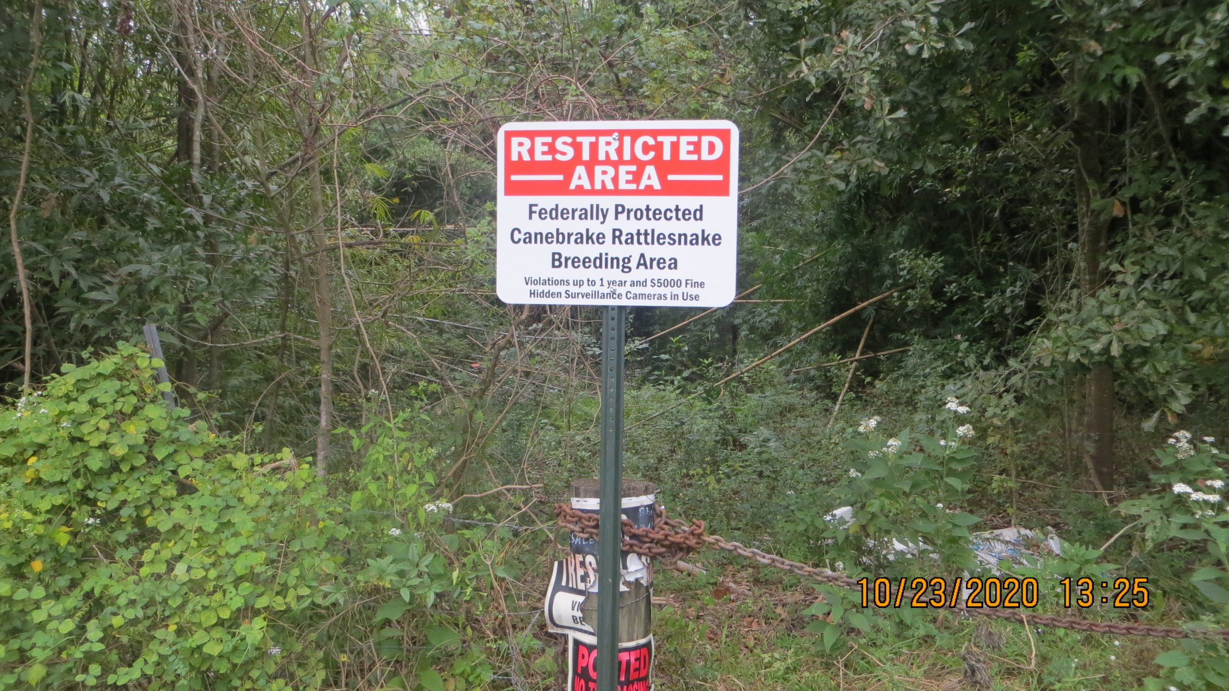 Rattlesnake sign.JPG