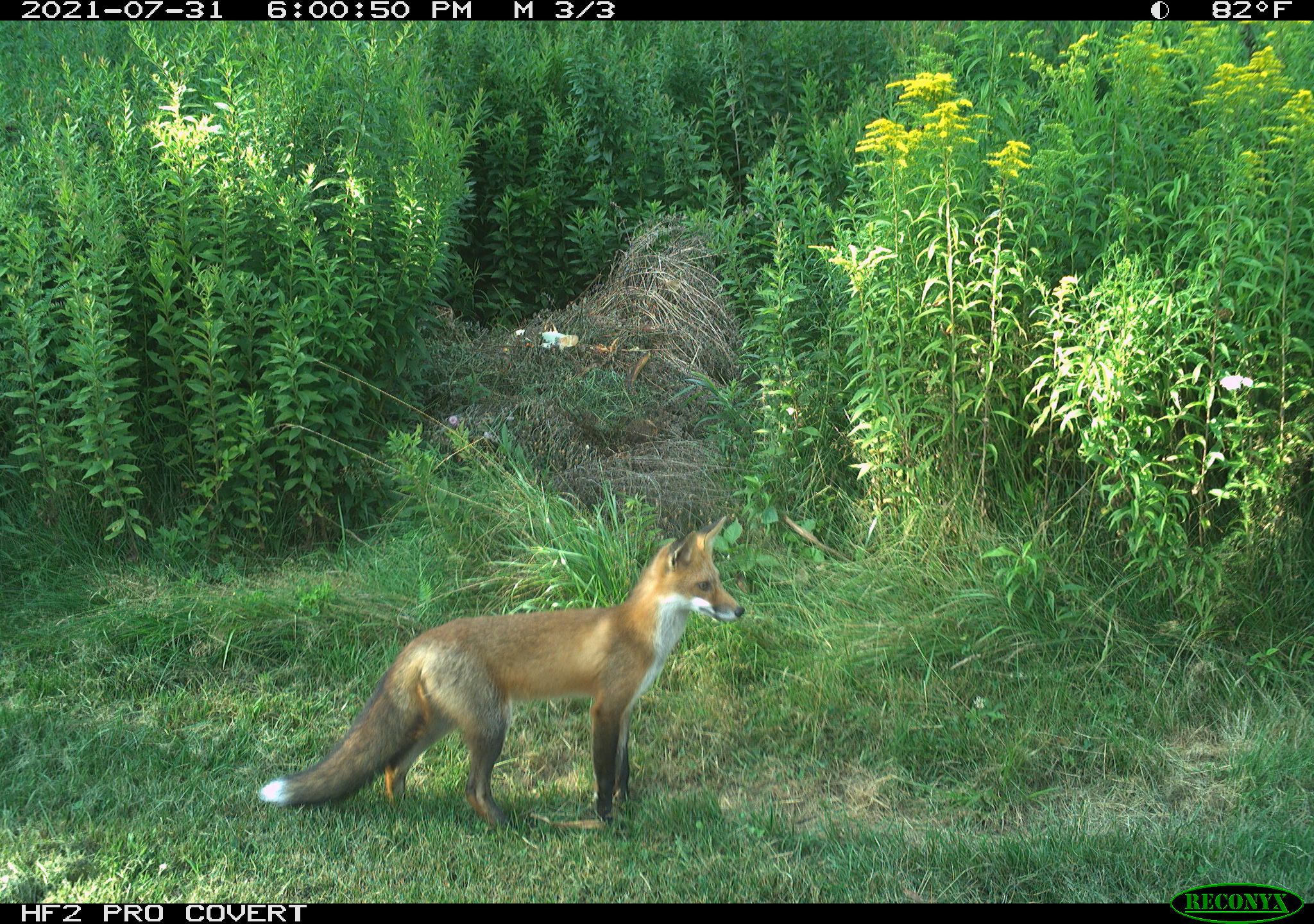 RCNX0272.JPG