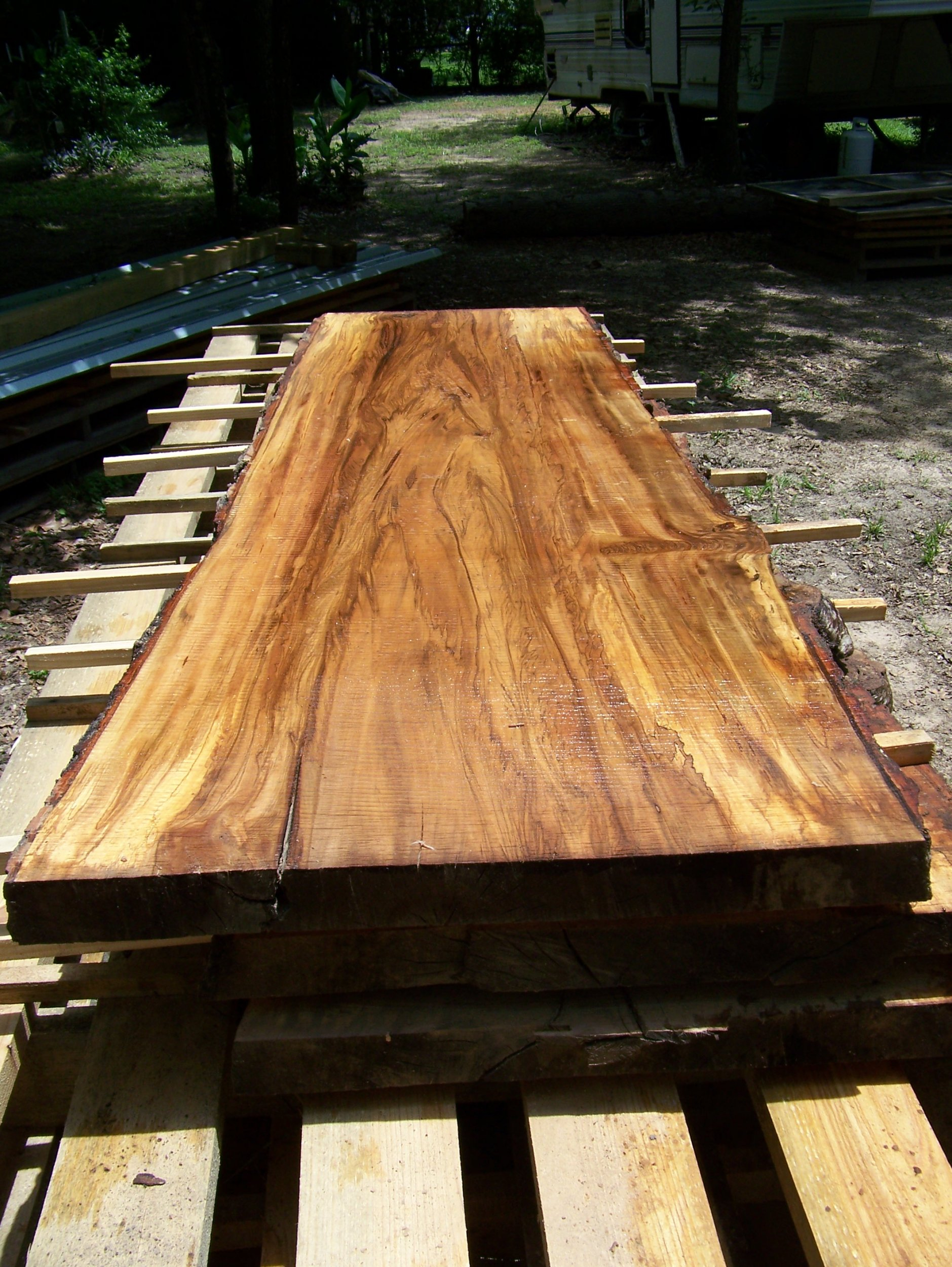 Red Oak Live Edge Slabs.jpg