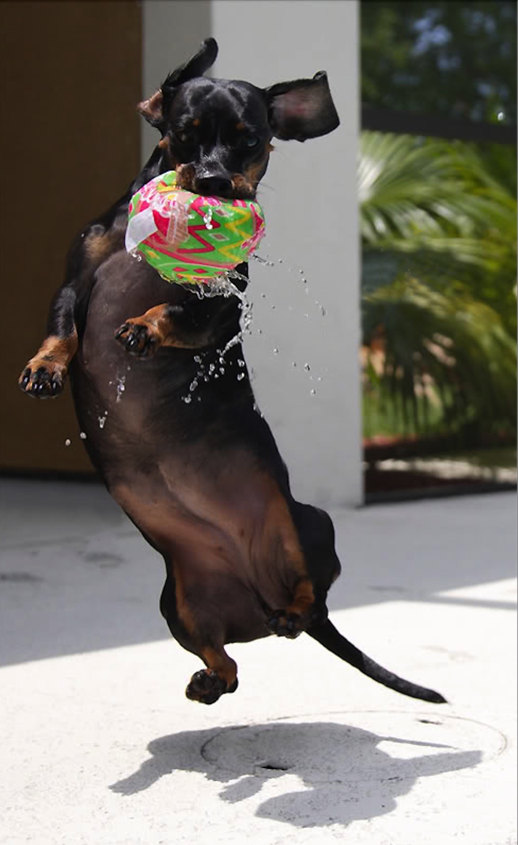 Reeses.jpg