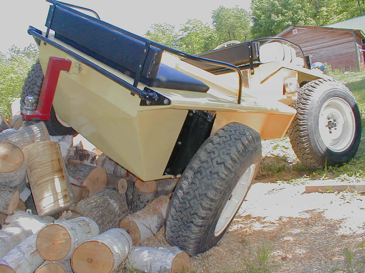 Restored Coot rear view.JPG