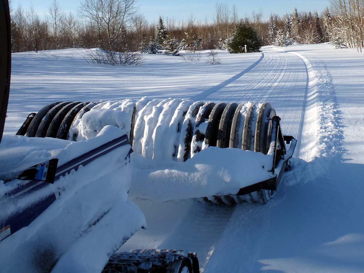 Rhino rools at tower (DL).jpg