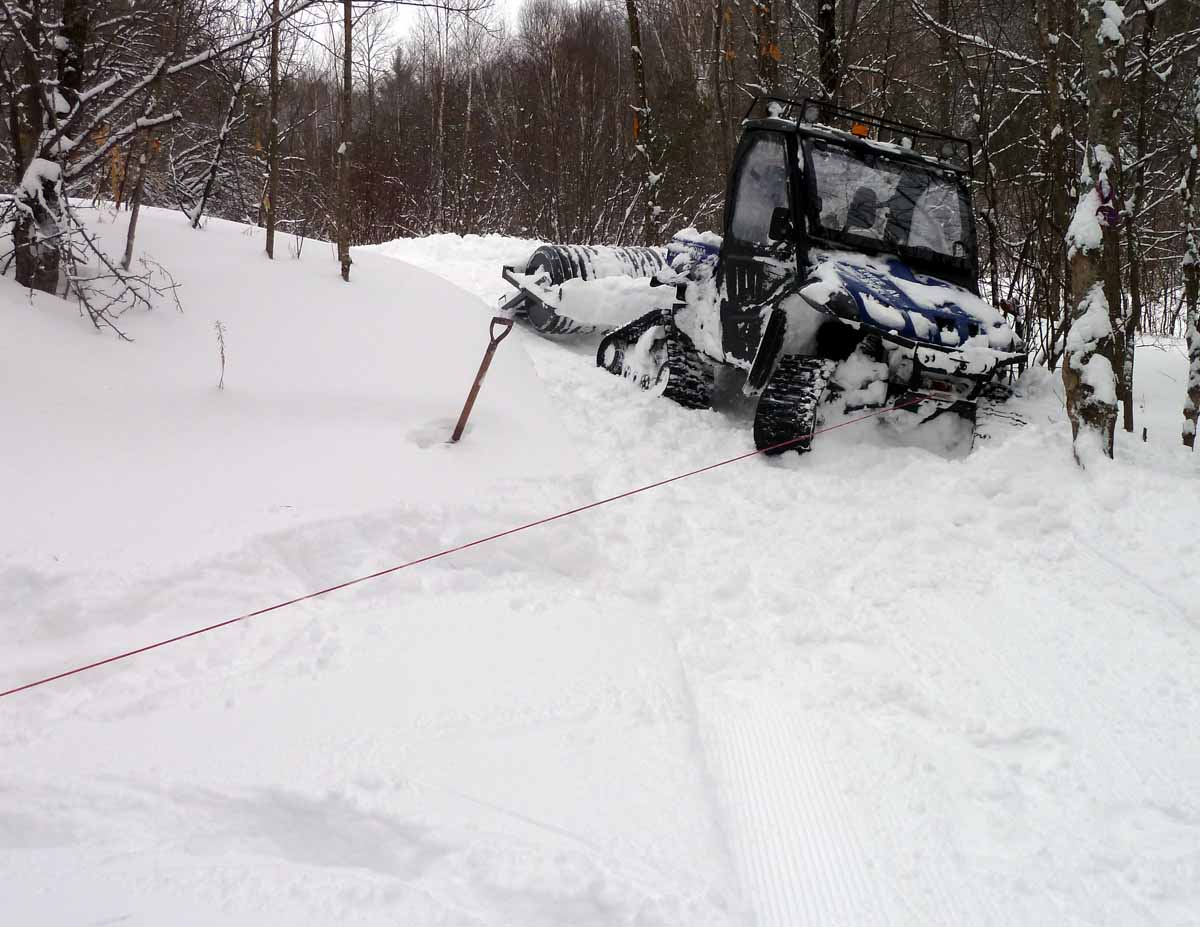Rhino stuck front view (DL).jpg