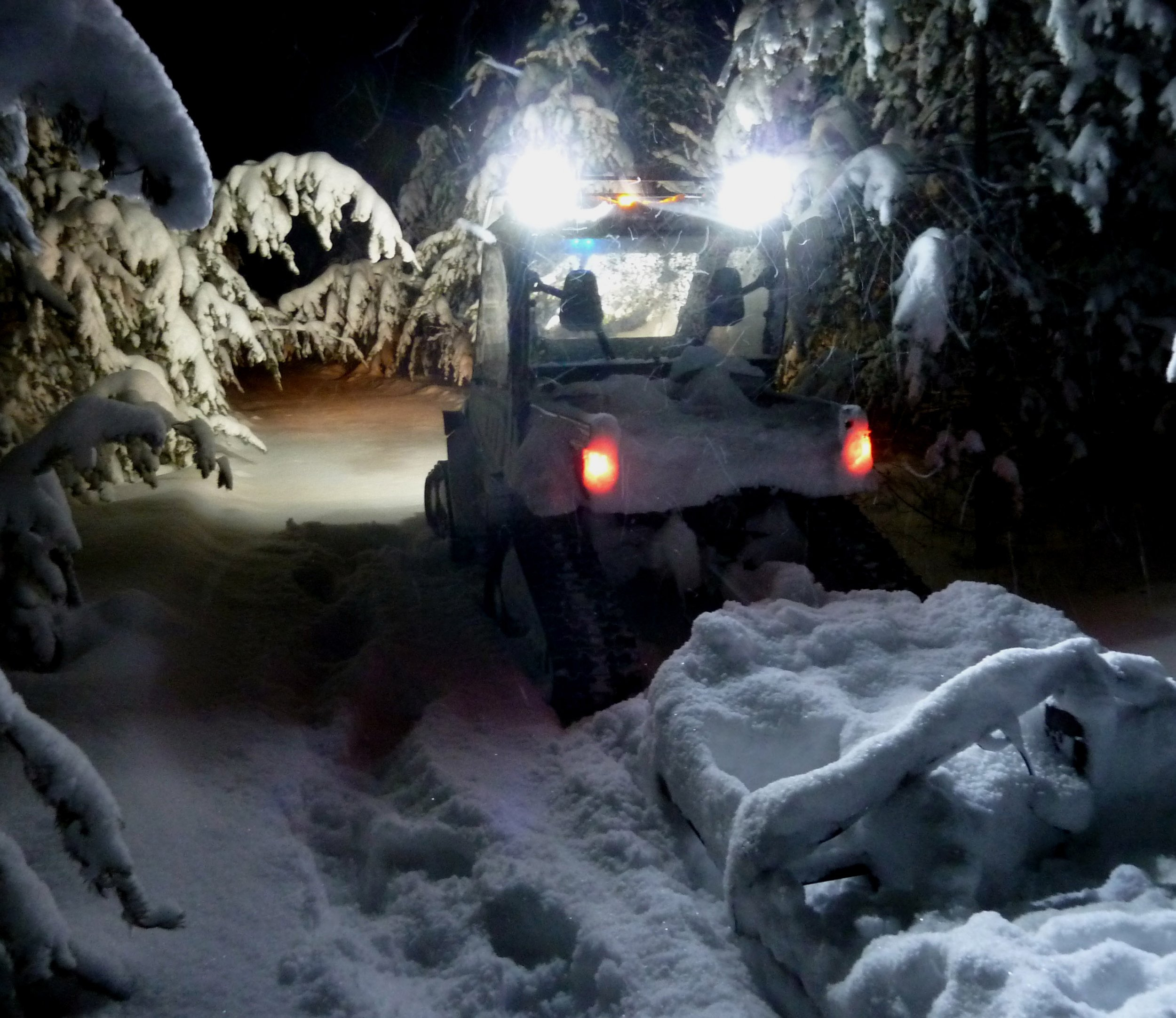 Rhino works in the dark, front view. (LG).jpg