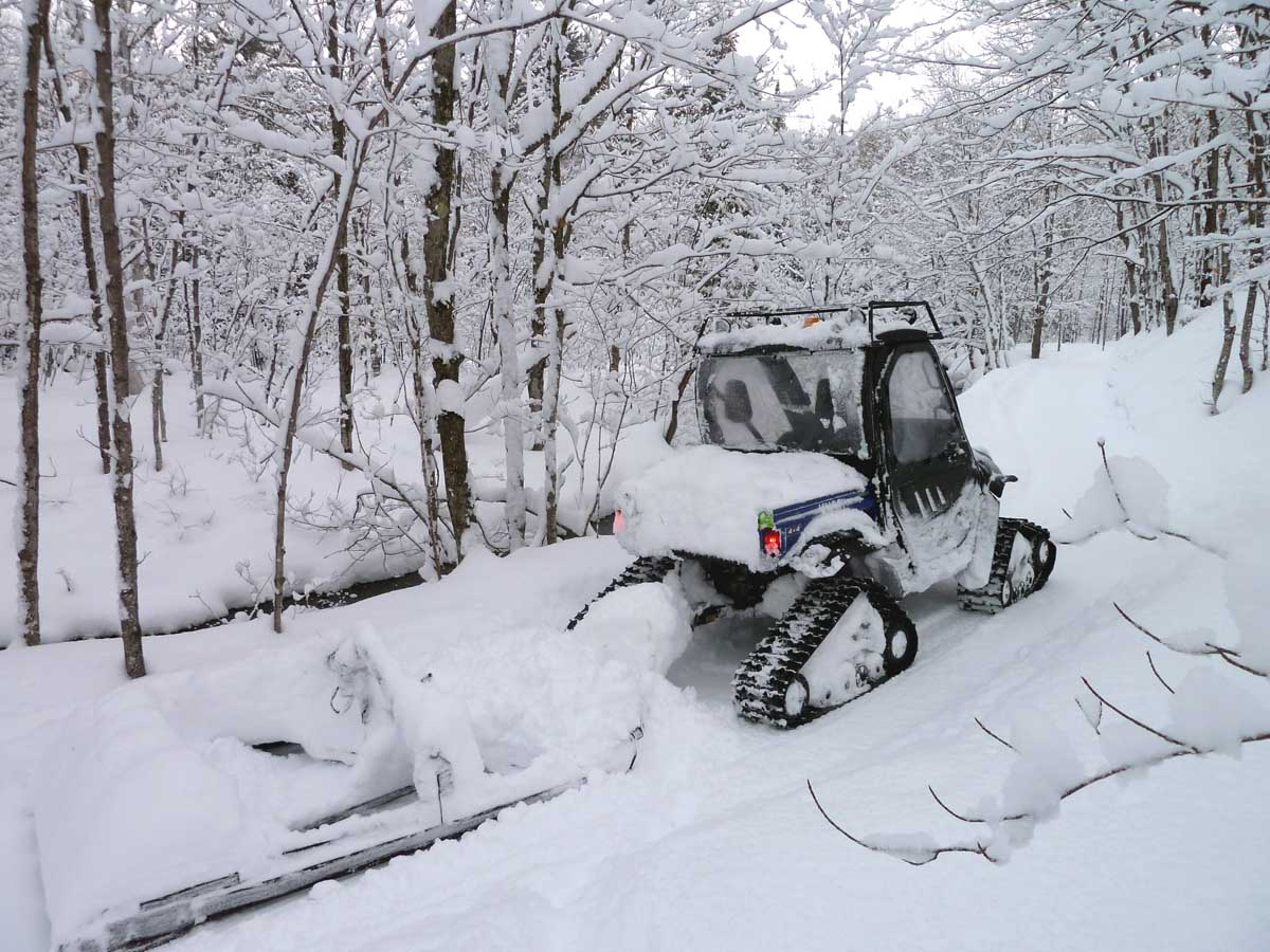 Rhinodrags snow (DL).jpg