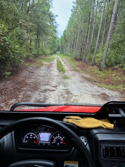 roads1.jpg