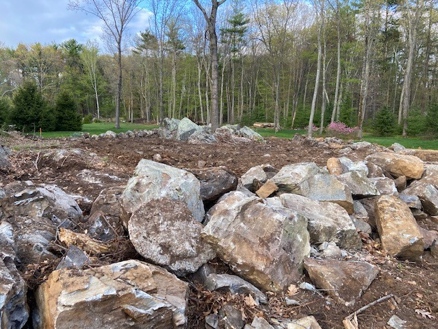 Rock Garden 2.jpg