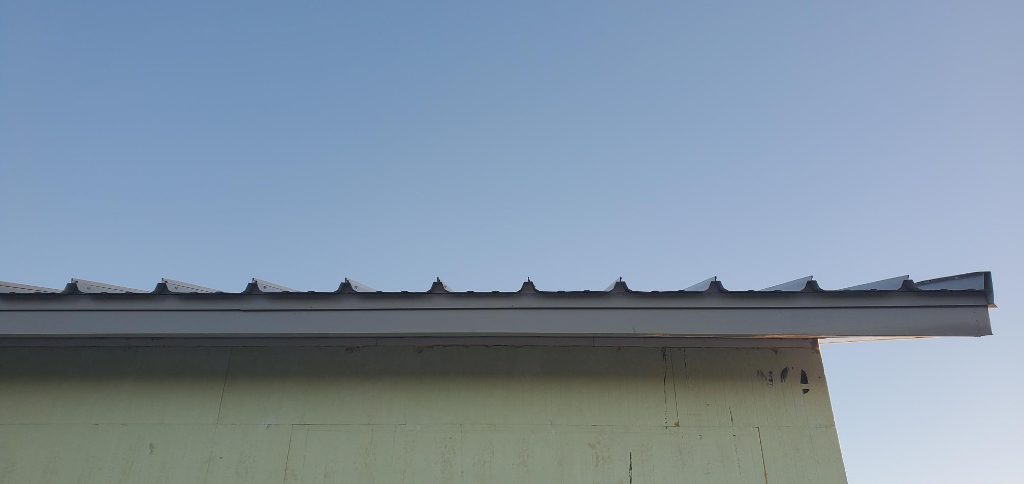 Roof 2.jpg